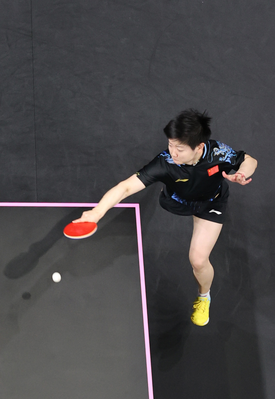 引进罗德里 引进罗德里